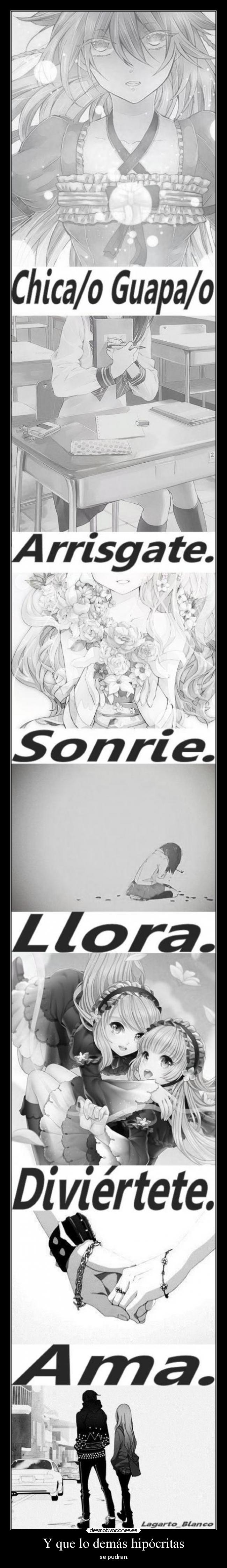 Y que lo demás hipócritas - se pudran.