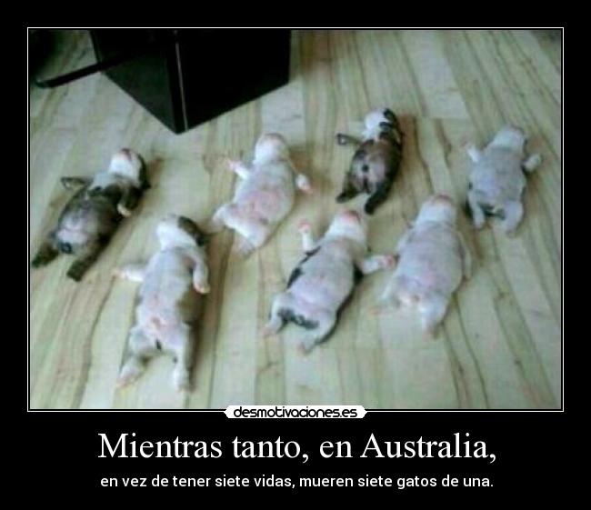 Mientras tanto, en Australia, - 