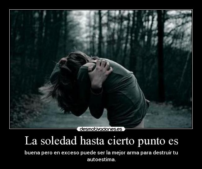 carteles soledad samelove pashushulomipirulo cutewinter laura amo cielo soledad quiero adios desmotivaciones