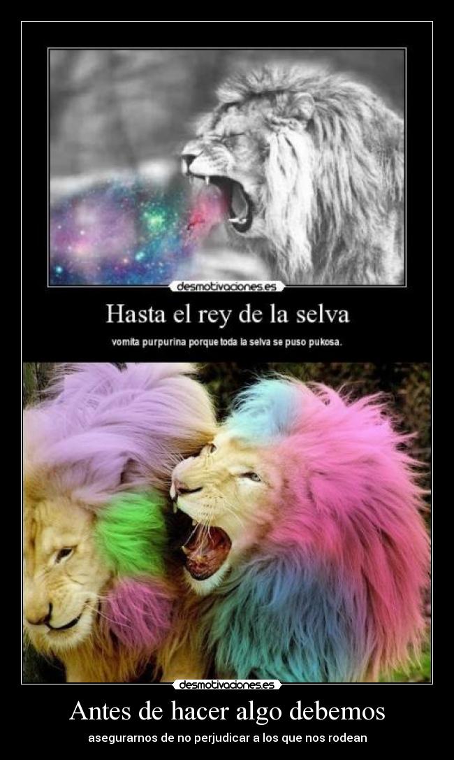 carteles jaja salpicadura desmotivaciones