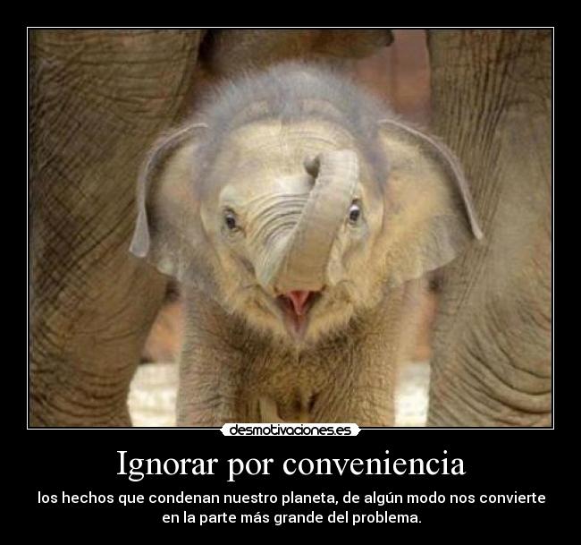 Ignorar por conveniencia - los hechos que condenan nuestro planeta, de algún modo nos convierte
en la parte más grande del problema.
