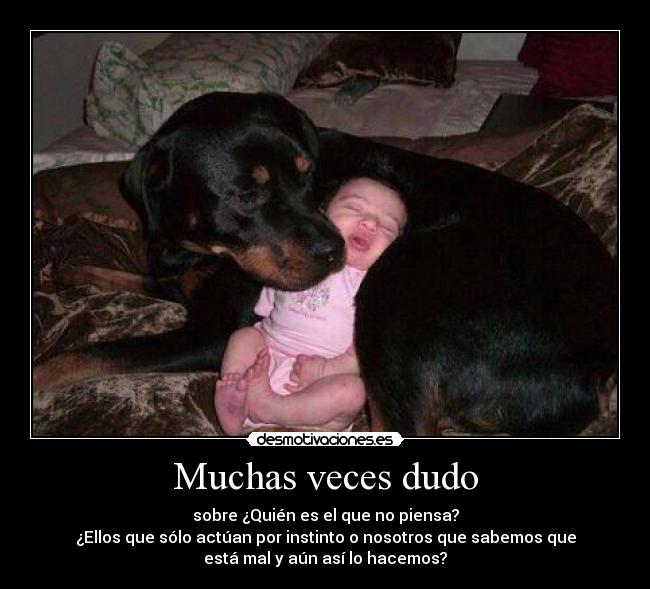 Muchas veces dudo - sobre ¿Quién es el que no piensa?
¿Ellos que sólo actúan por instinto o nosotros que sabemos que
está mal y aún así lo hacemos?