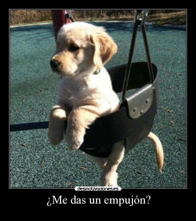 ¿Me das un empujón? -