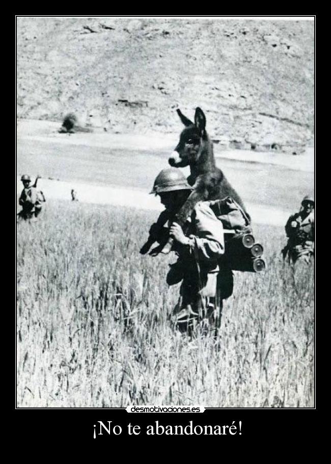 ¡No te abandonaré! -