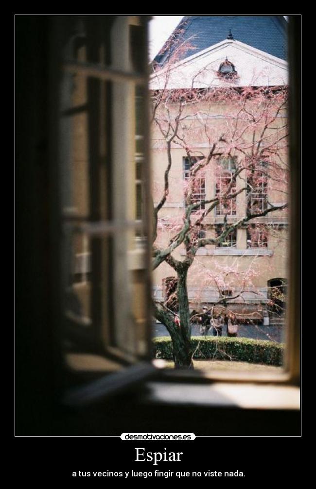 Espiar - a tus vecinos y luego fingir que no viste nada.