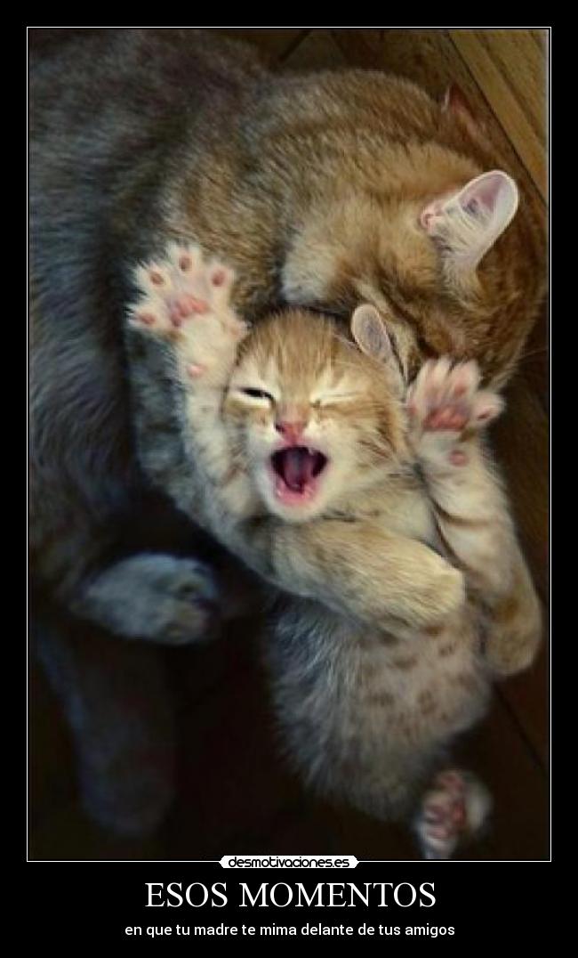 ESOS MOMENTOS - en que tu madre te mima delante de tus amigos