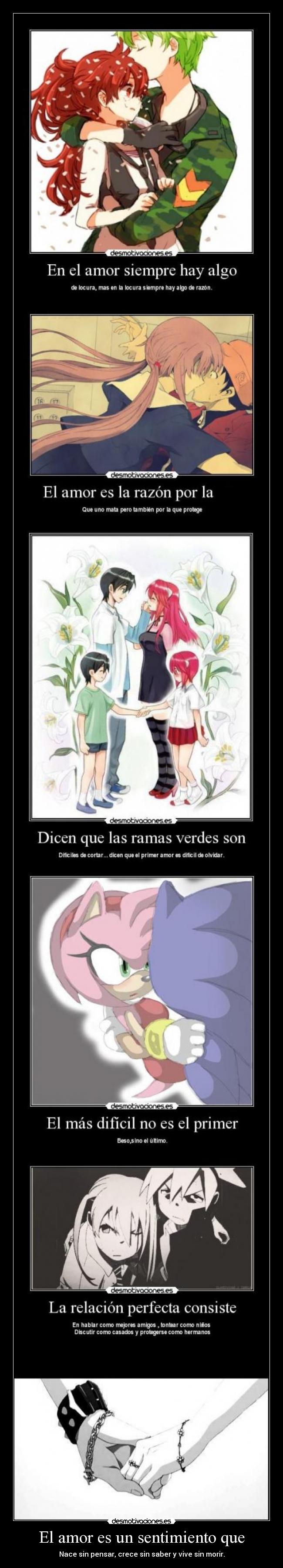 El amor es un sentimiento que - Nace sin pensar, crece sin saber y vive sin morir.