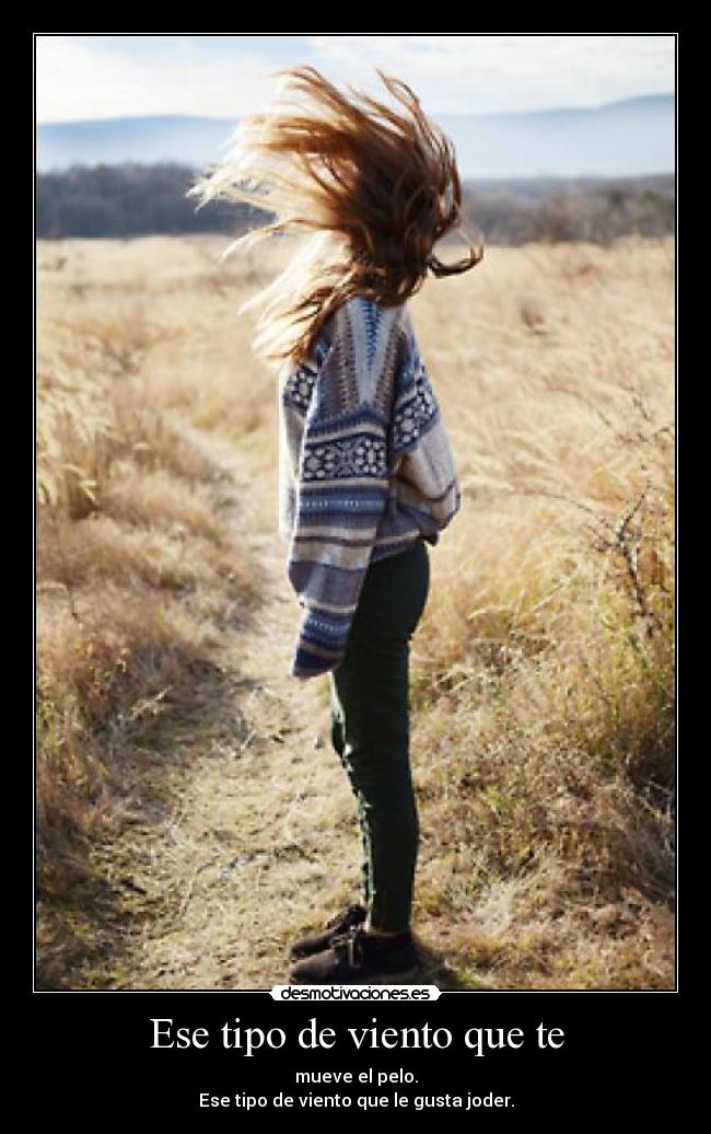 Ese tipo de viento que te - mueve el pelo.
Ese tipo de viento que le gusta joder.