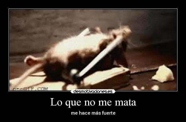 carteles xdfsd desmotivaciones