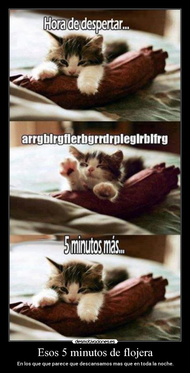 Esos 5 minutos de flojera -