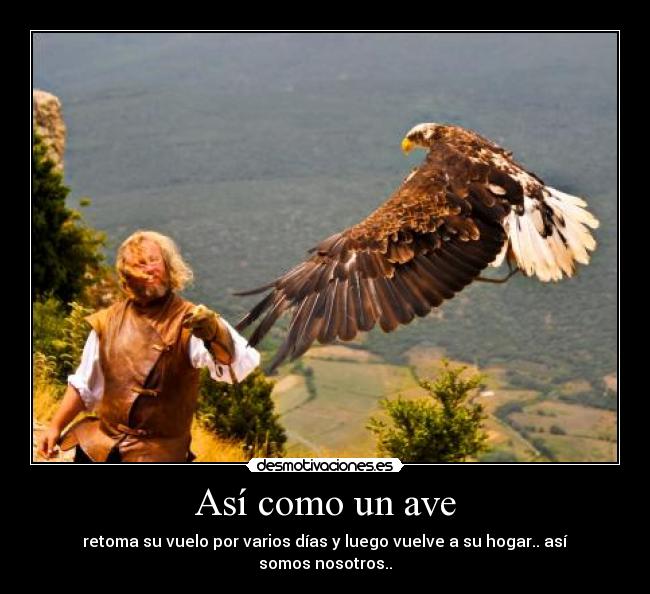 carteles hogar desmotivaciones