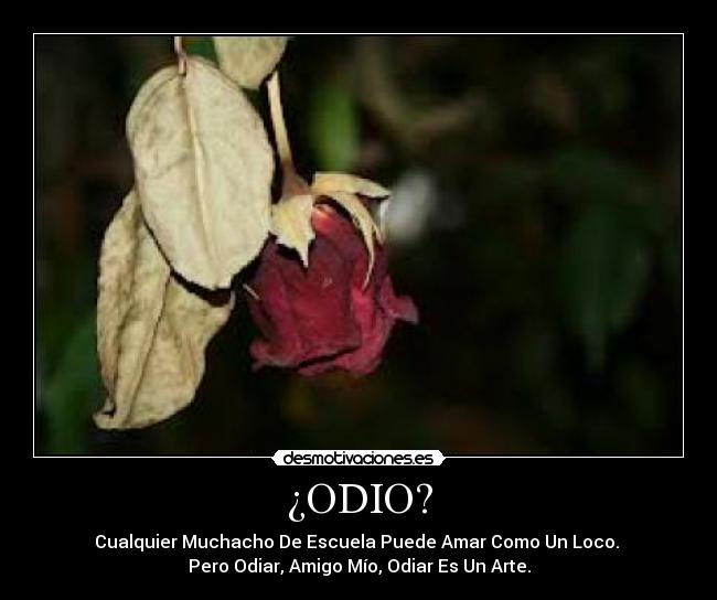 ¿ODIO? - Cualquier Muchacho De Escuela Puede Amar Como Un Loco. 
Pero Odiar, Amigo Mío, Odiar Es Un Arte.