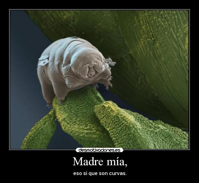 Madre mía, - eso si que son curvas.