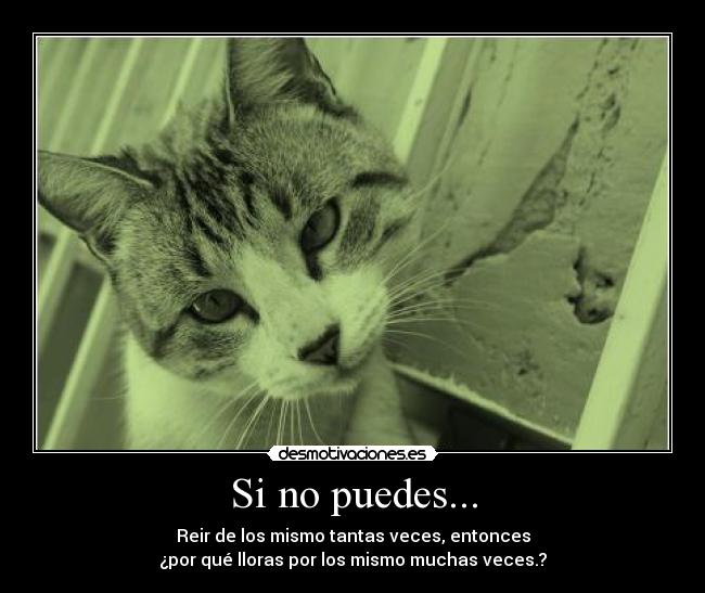 Si no puedes... -