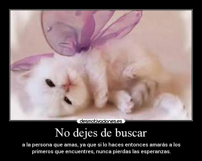 No dejes de buscar - 