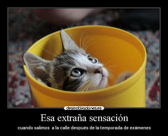 Esa extraña sensación - 