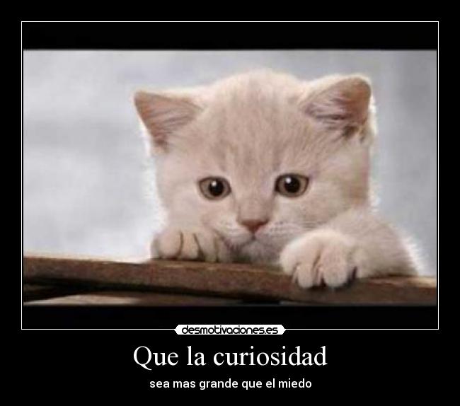Que la curiosidad - 
