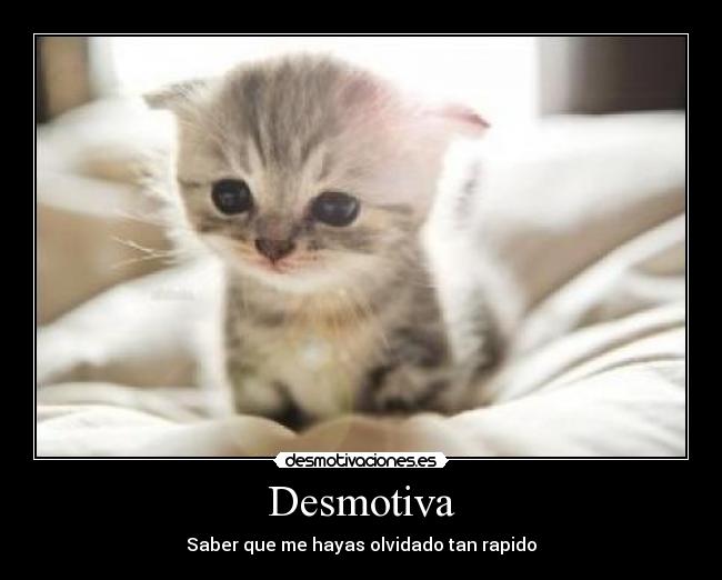 Desmotiva - Saber que me hayas olvidado tan rapido