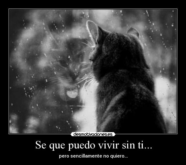 Se que puedo vivir sin ti... - pero sencillamente no quiero...