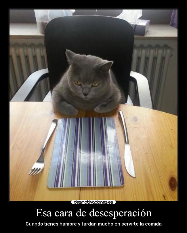 Esa cara de desesperación - Cuando tienes hambre y tardan mucho en servirte la comida