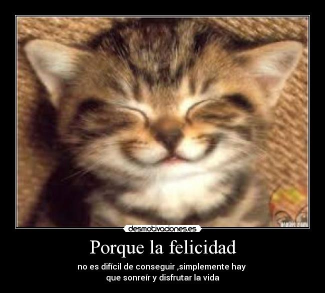 Porque la felicidad - no es difícil de conseguir ,simplemente hay 
que sonreír y disfrutar la vida