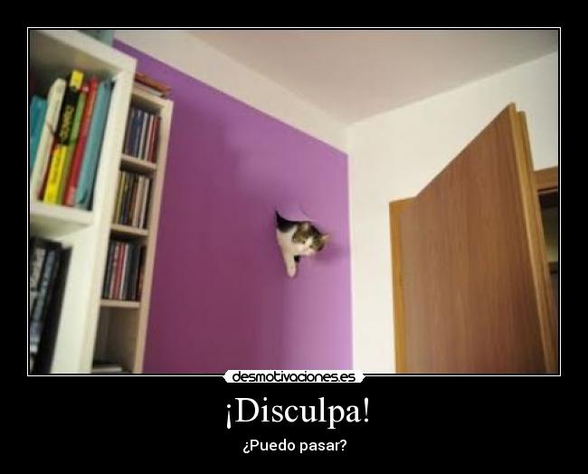¡Disculpa! - ¿Puedo pasar?