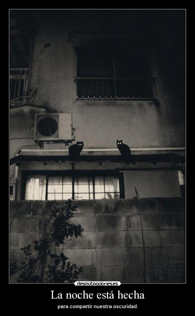 La noche está hecha - para compartir nuestra oscuridad.