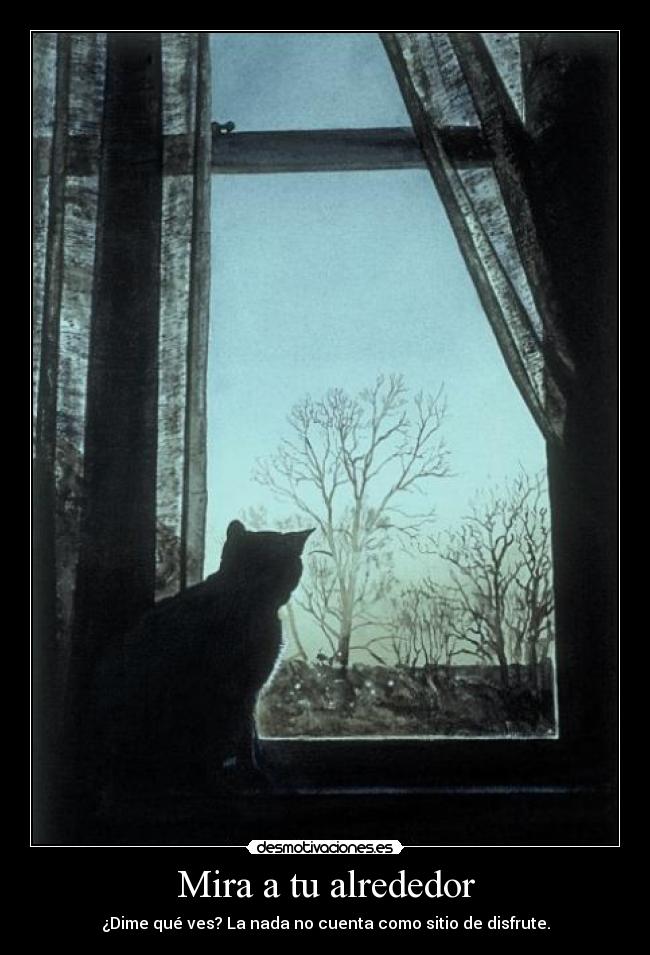 Mira a tu alrededor - 