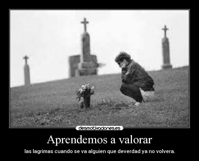 carteles amor desmotivaciones