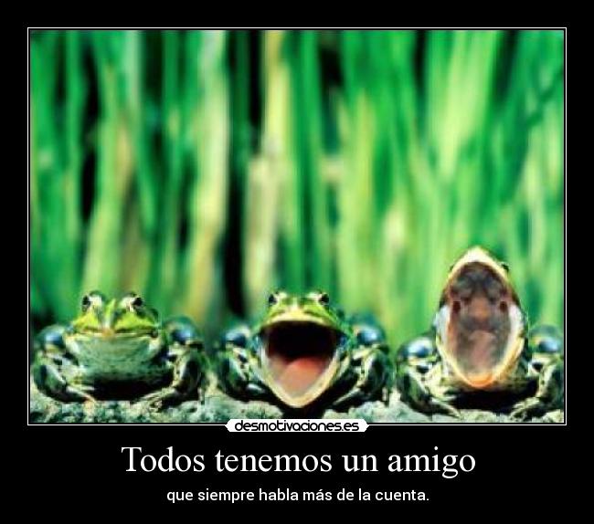 Todos tenemos un amigo - 