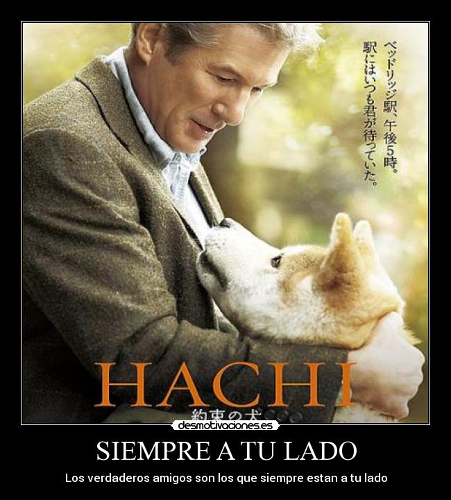 Frases pelicula blackjack