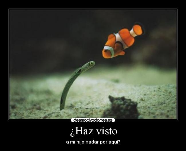 ¿Haz visto - a mi hijo nadar por aquí?