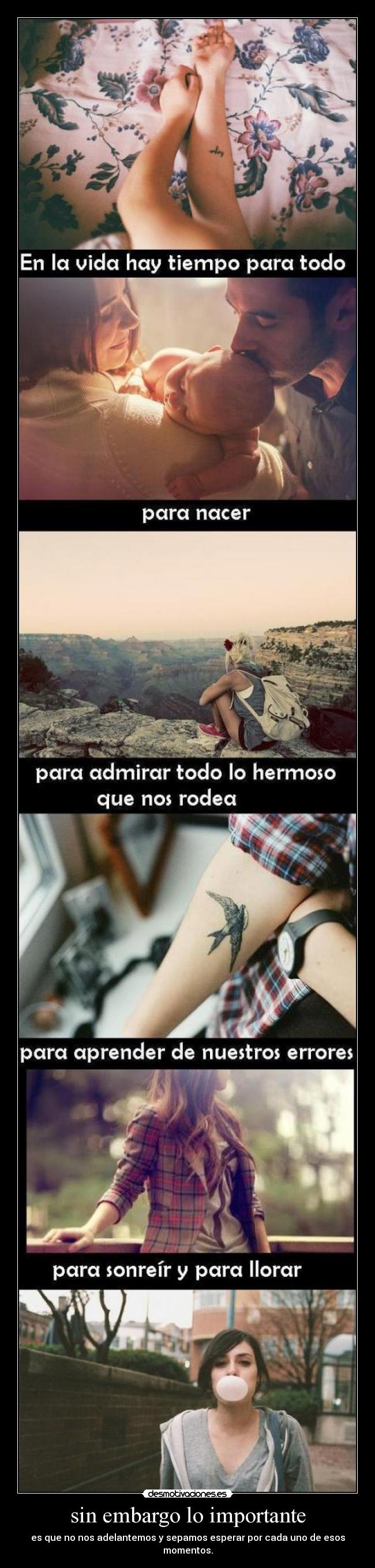 sin embargo lo importante - es que no nos adelantemos y sepamos esperar por cada uno de esos momentos.