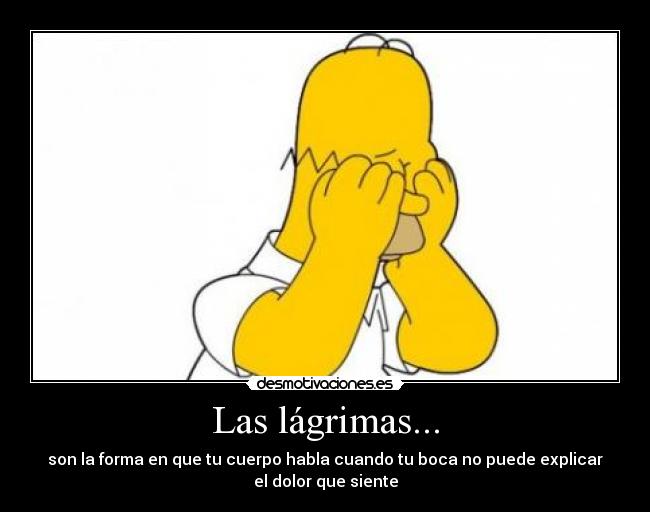 Las lágrimas... - son la forma en que tu cuerpo habla cuando tu boca no puede explicar
el dolor que siente