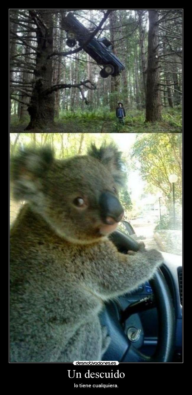 Un descuido - 