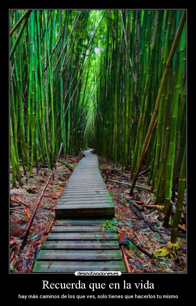 Recuerda que en la vida -