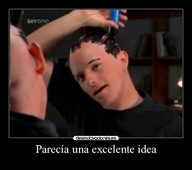 Parecía una excelente idea -