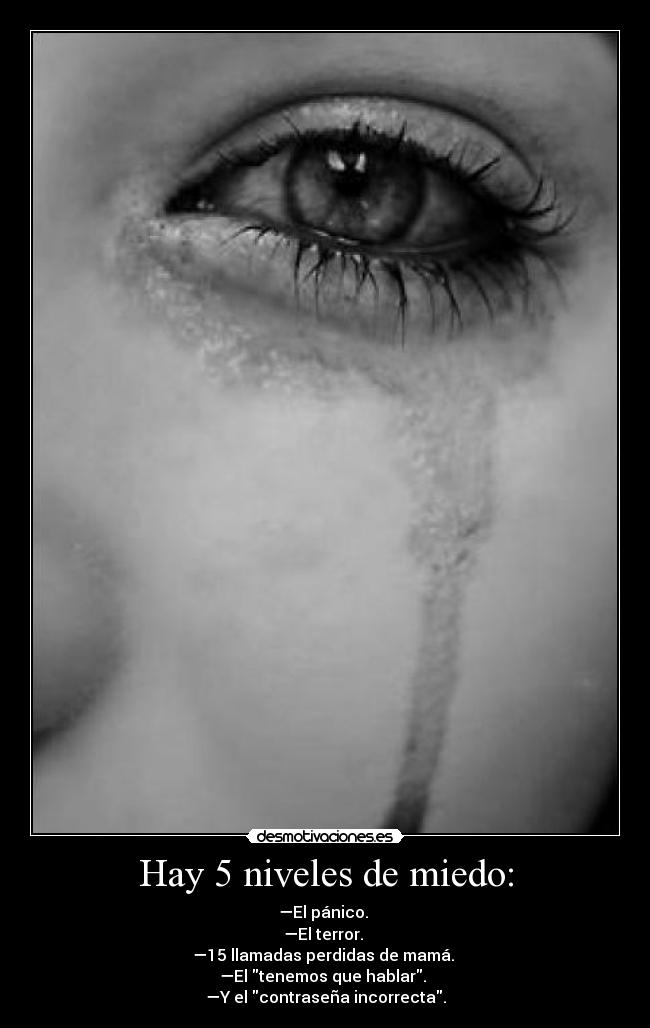 Hay 5 niveles de miedo: - —El pánico. 
—El terror. 
—15 llamadas perdidas de mamá. 
—El tenemos que hablar. 
—Y el contraseña incorrecta.