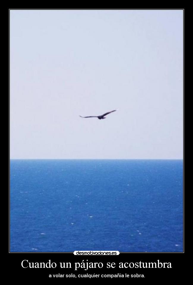 carteles ceroaladerechadespuesdecoma desmotivaciones