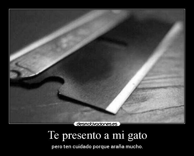 Te presento a mi gato - pero ten cuidado porque araña mucho.