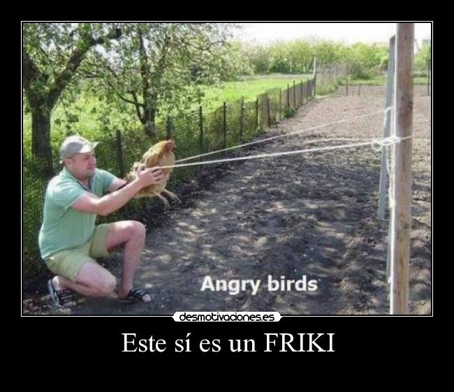 carteles fail desmotivaciones