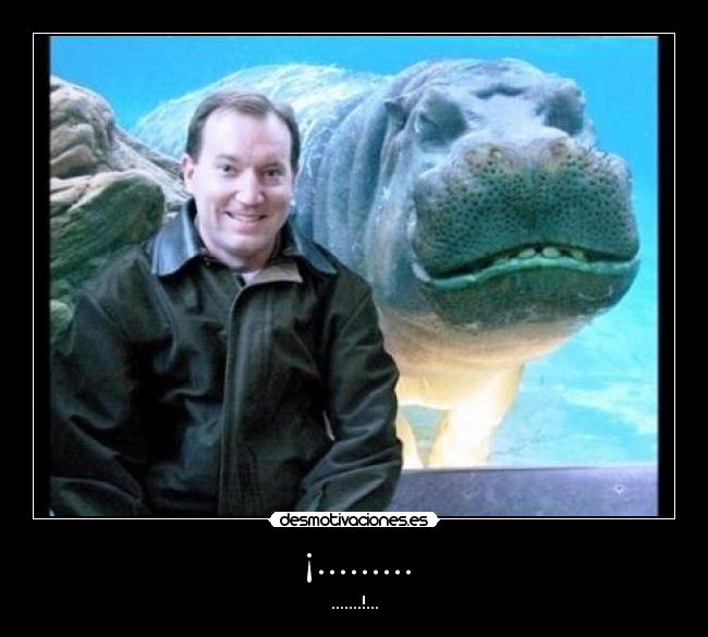 carteles fail desmotivaciones