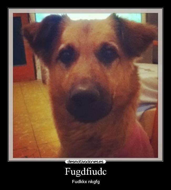 carteles on64 desmotivaciones