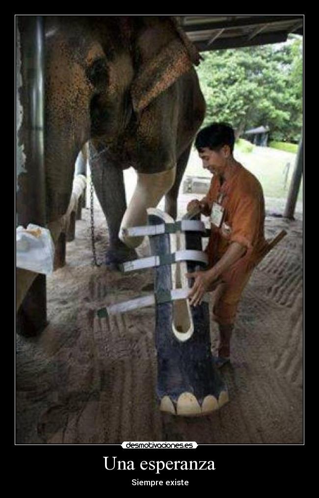 Una esperanza - 