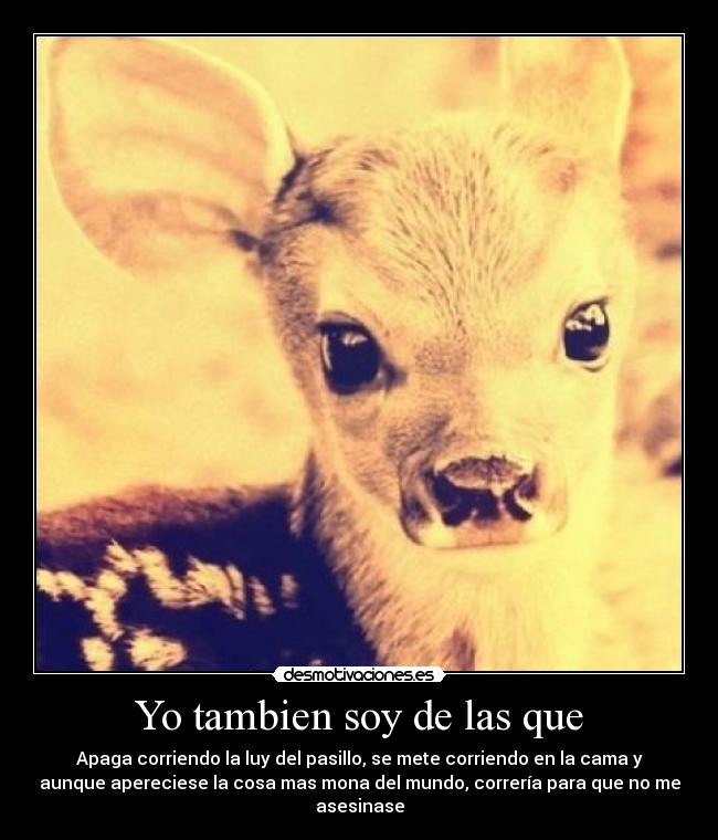 Yo tambien soy de las que - Apaga corriendo la luy del pasillo, se mete corriendo en la cama y
aunque apereciese la cosa mas mona del mundo, correría para que no me
asesinase