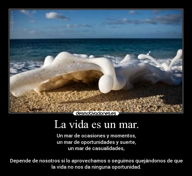 La vida es un mar. - Un mar de ocasiones y momentos,
un mar de oportunidades y suerte,
un mar de casualidades,

Depende de nosotros si lo aprovechamos o seguimos quejándonos de que
la vida no nos da ninguna oportunidad.