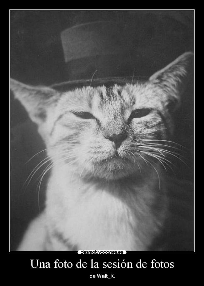 Una foto de la sesión de fotos - 