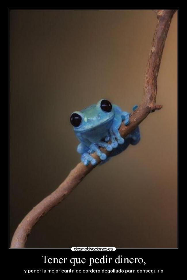 Tener que pedir dinero, - y poner la mejor carita de cordero degollado para conseguirlo