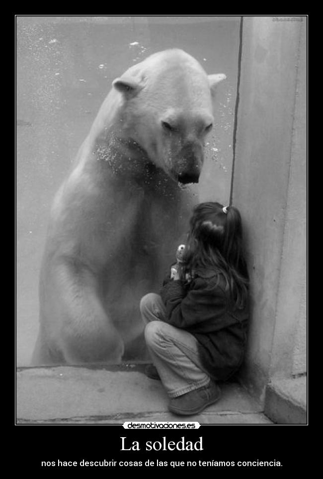 La soledad - nos hace descubrir cosas de las que no teníamos conciencia.