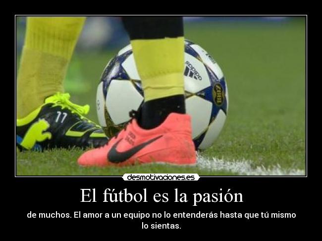 El fútbol es la pasión - de muchos. El amor a un equipo no lo entenderás hasta que tú mismo lo sientas.